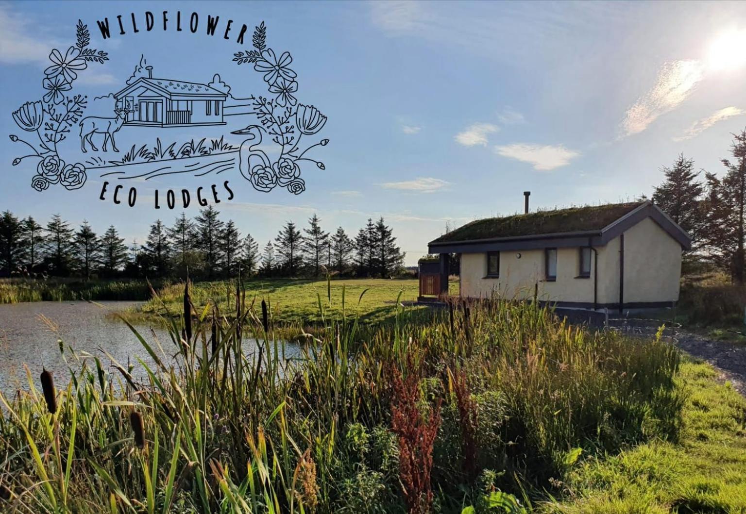Holiday home Wildflower Eco *