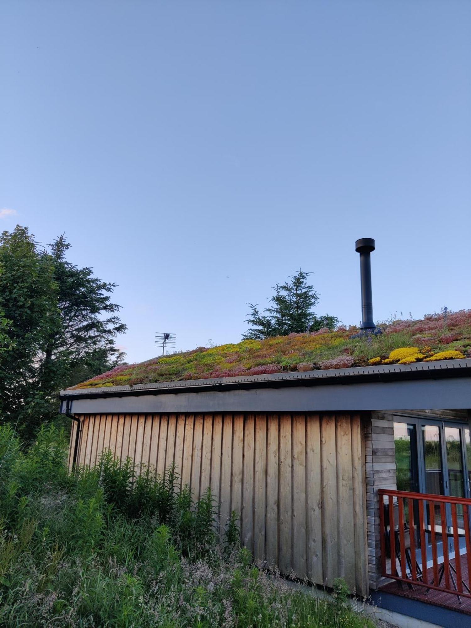 Wildflower Eco *
