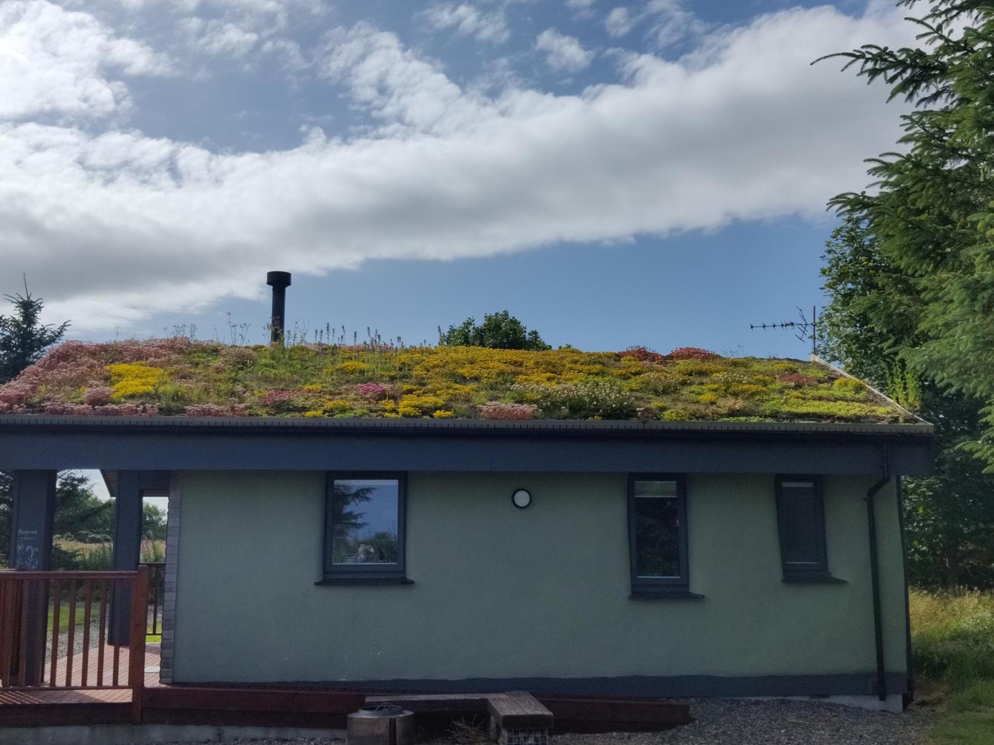Wildflower Eco Holiday home